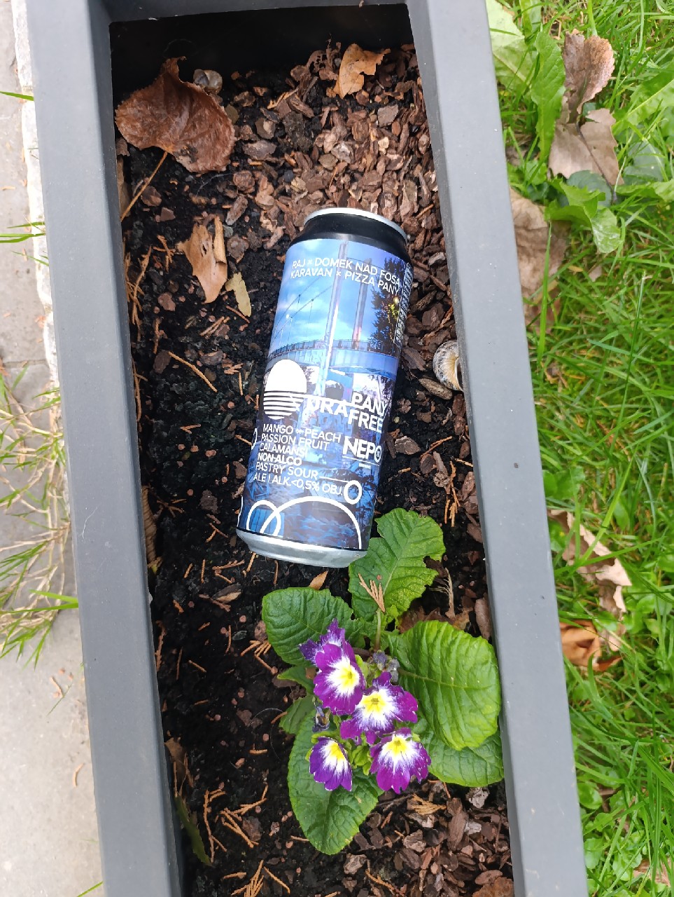 Odra Pany Free, Poland