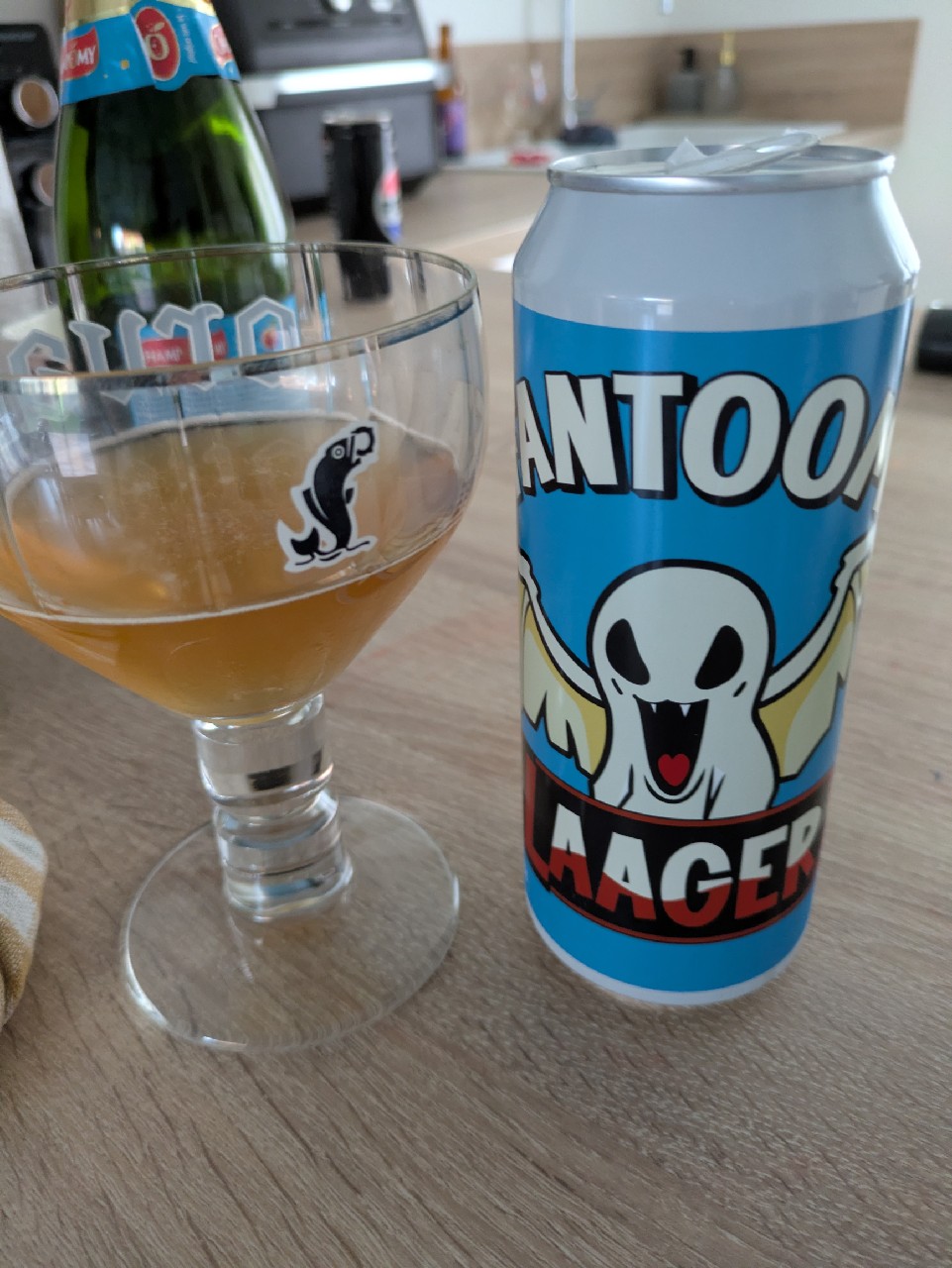 Fantoom Laager, Finland