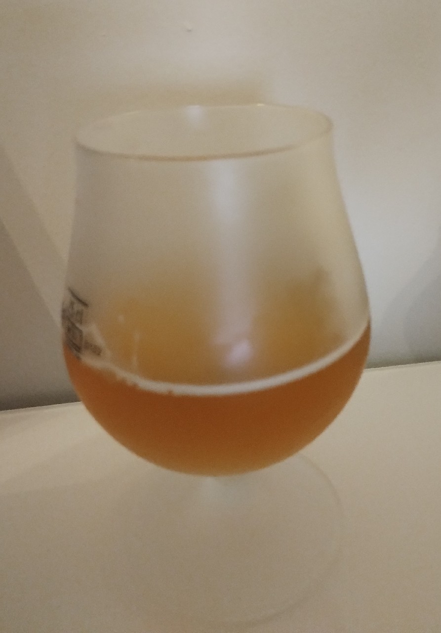 Gordon Peach Xplosion, Belgium