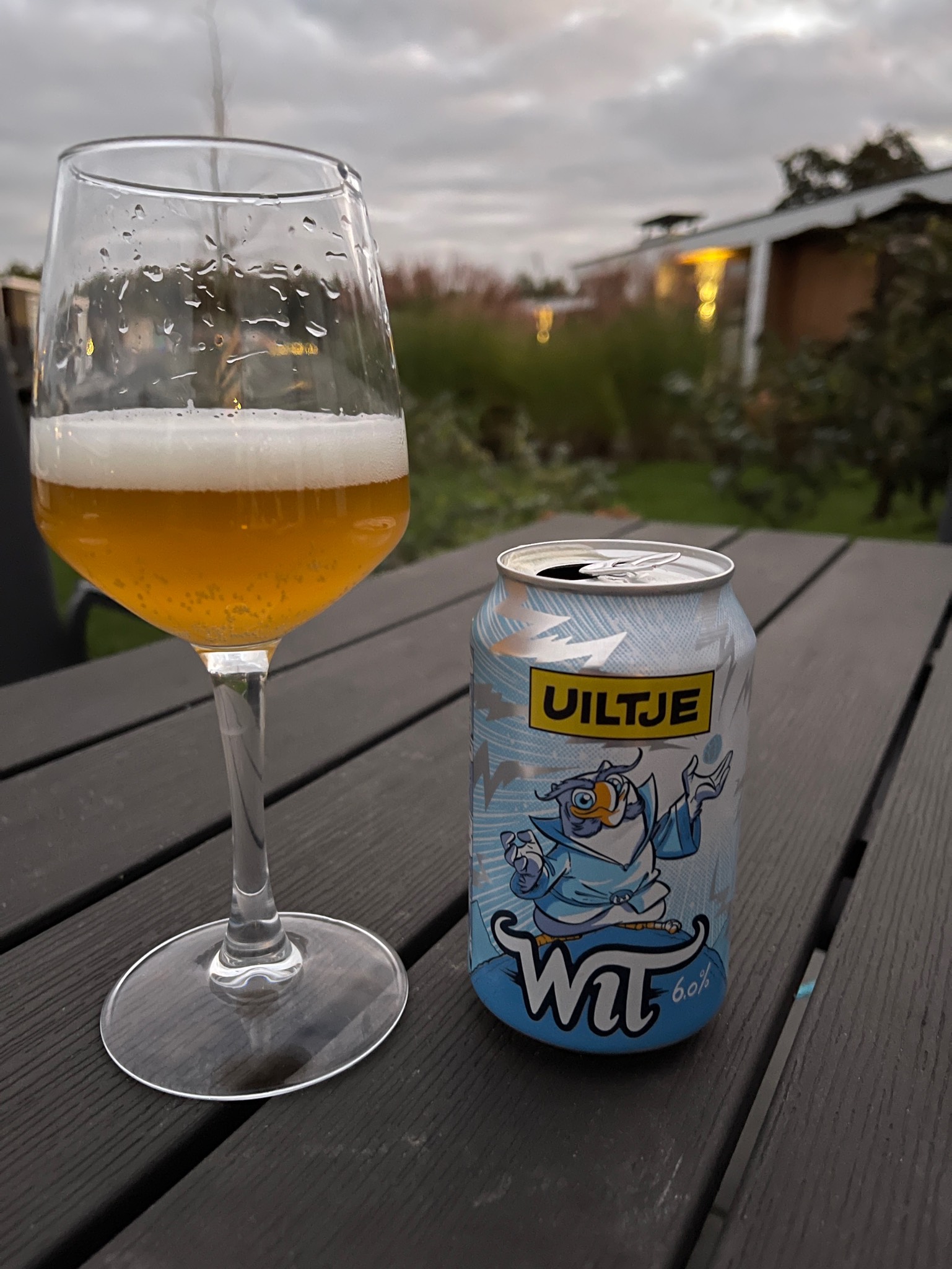 Uiltje Wit, Netherlands