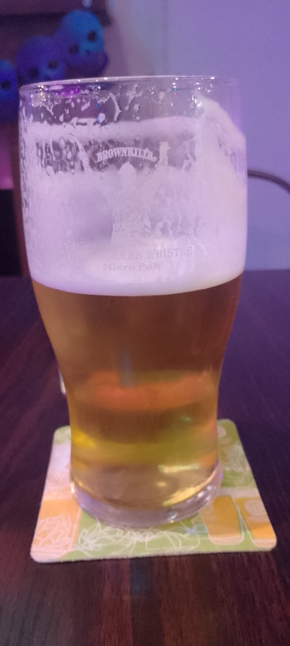 Dynasty, Green Duck Beer Co.