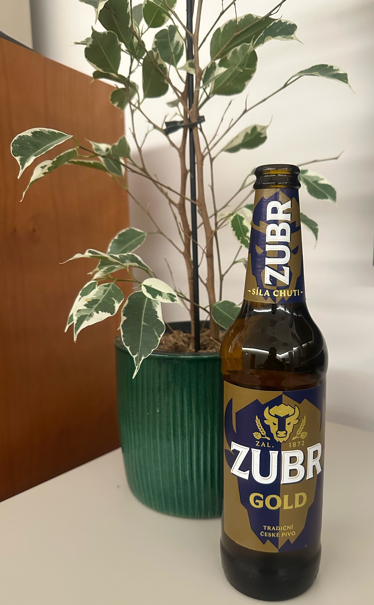 Zubr Gold, Czech Republic