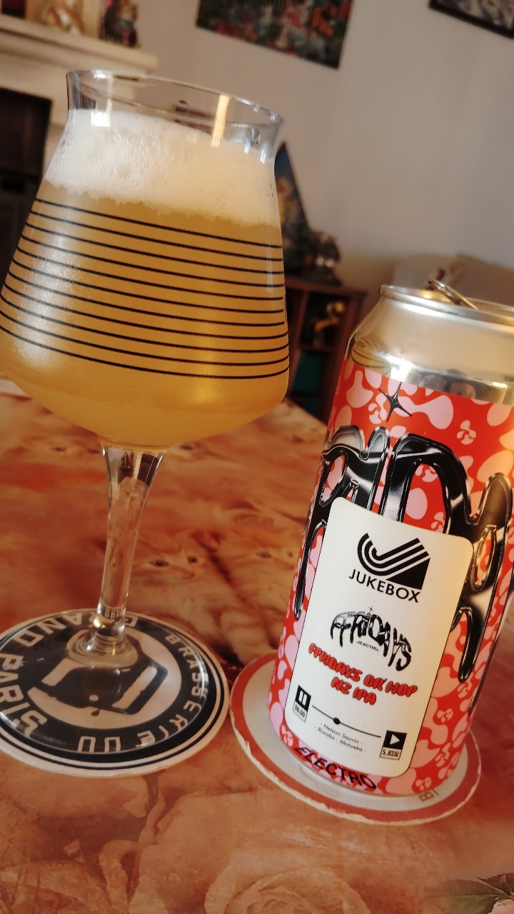 Ffridays Dr Hop NZ IPA, France