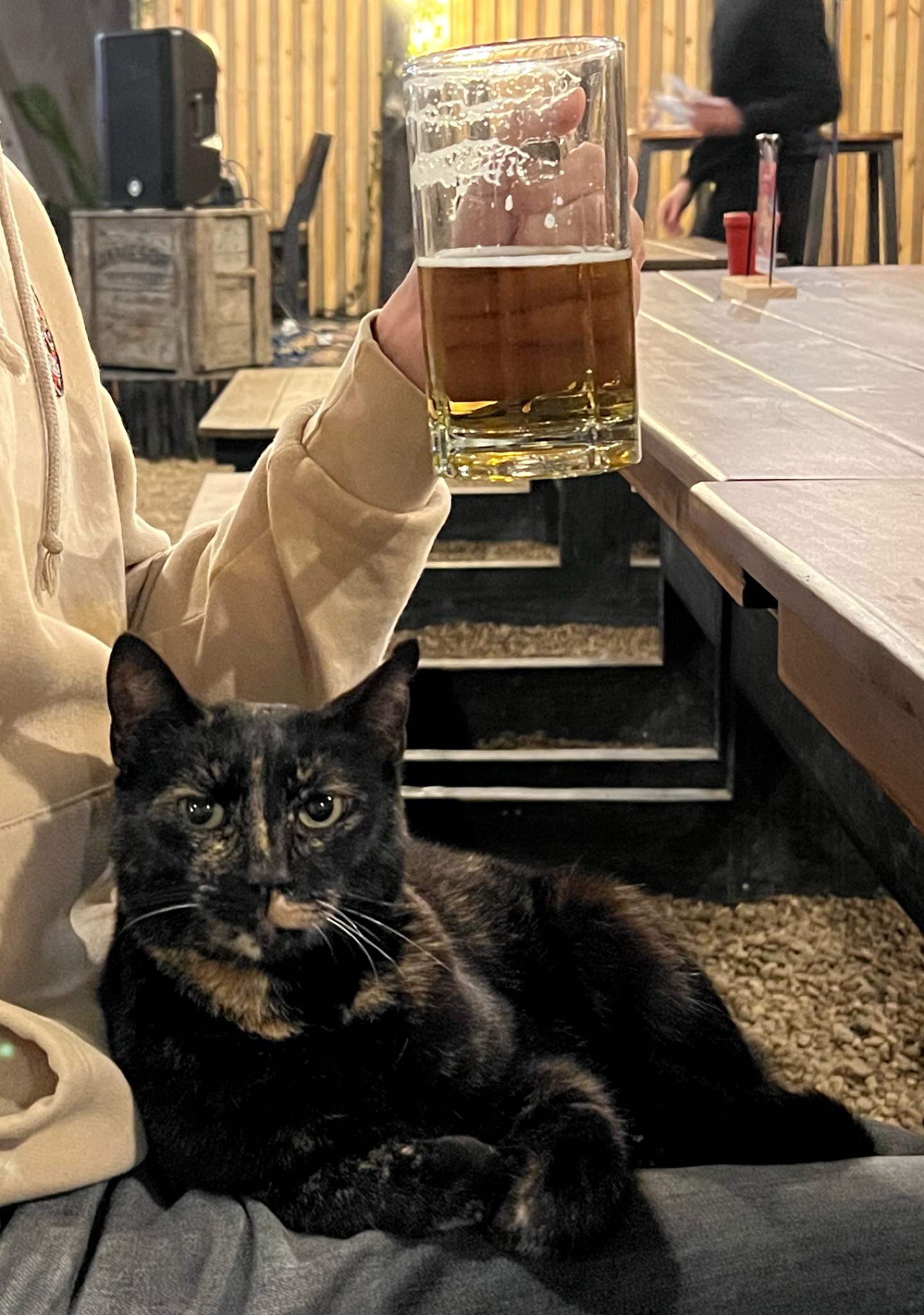 Hansa Draught, Namibia Breweries Limited (Heineken)