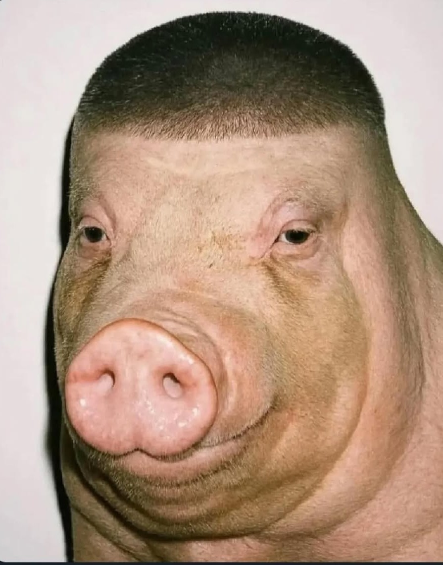 Clausthaler Original Non-Alcoholic, Binding-Brauerei (Oetker Group)