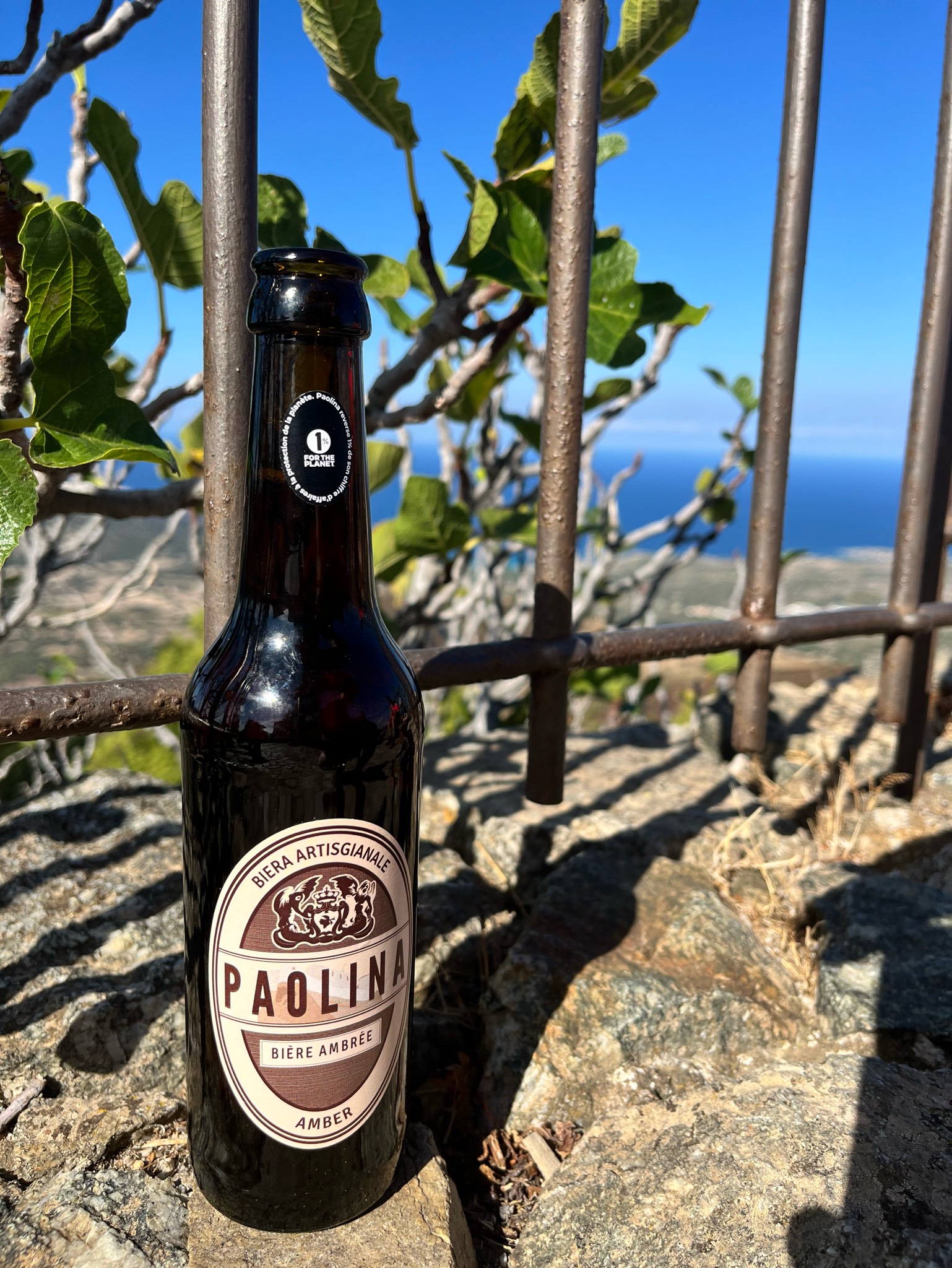 Paolina Amber, Brasserie Paolina