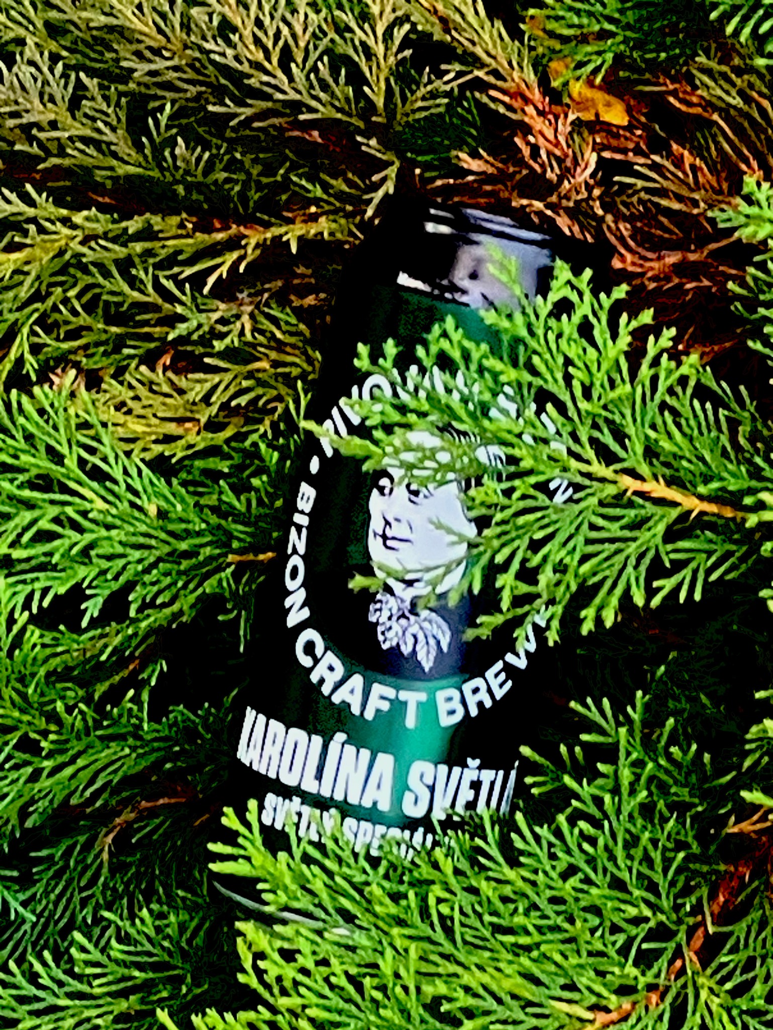 Karolína Světlá 13°, Pivovar Bizon