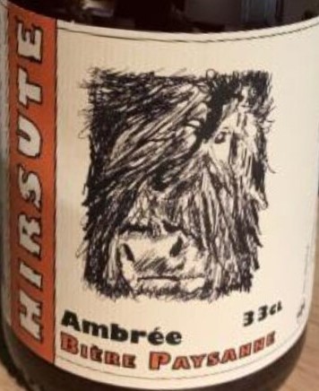 Hirsute Ambrée, France