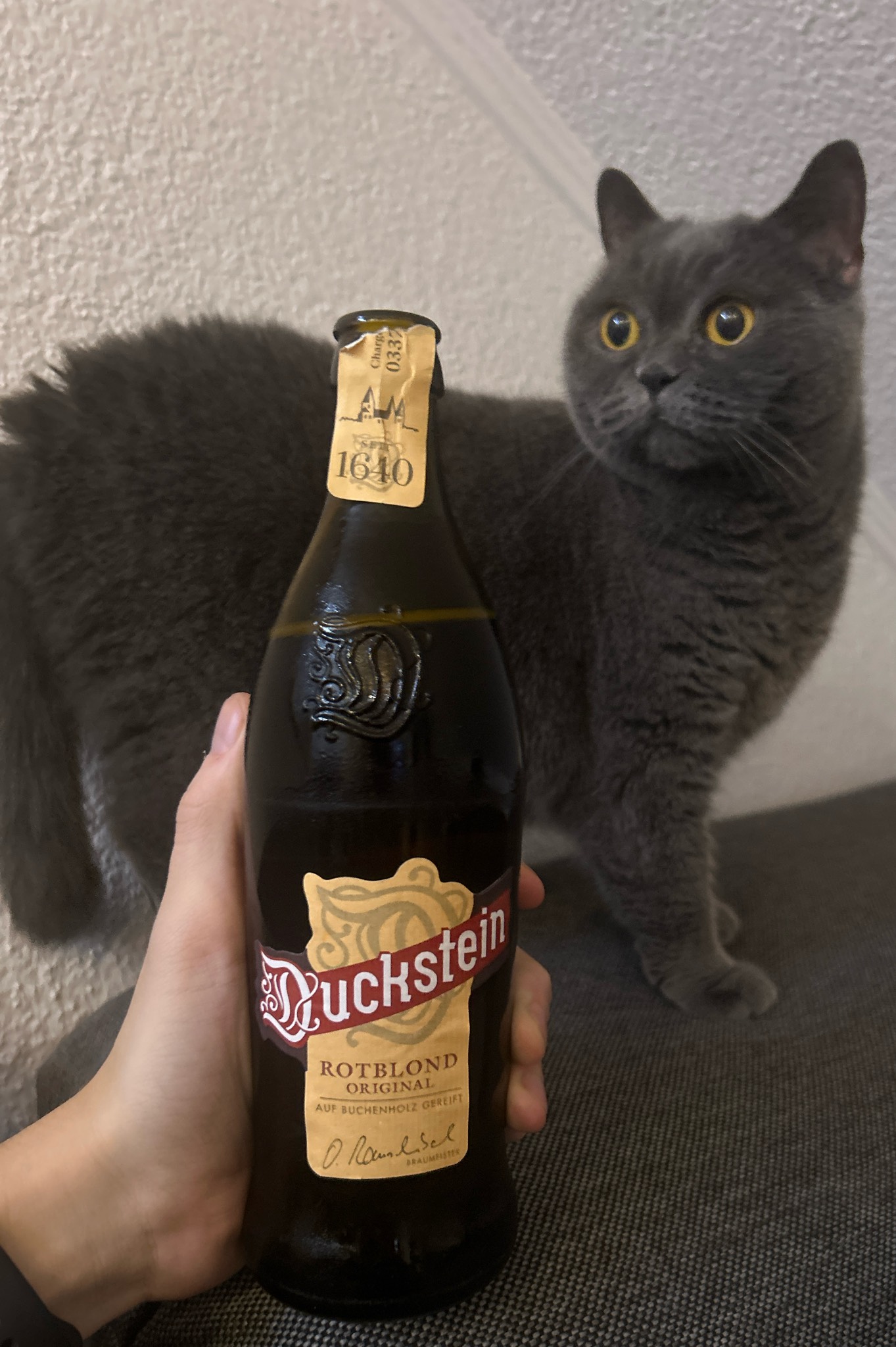 Duckstein Rotblond Original, Germany