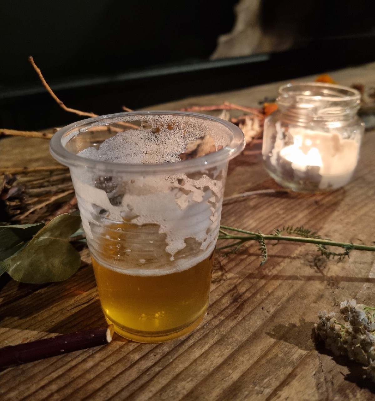 Dzion Borna, Širvenos Bravoras (Dundulis)