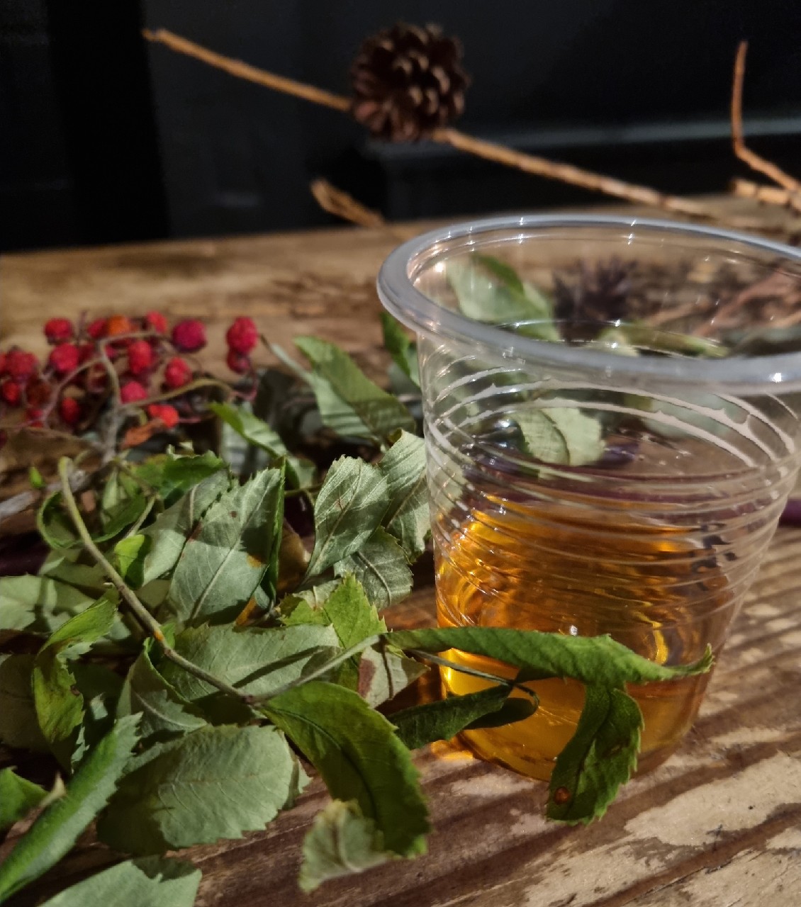 Zāļainais Brālis, Dundulis