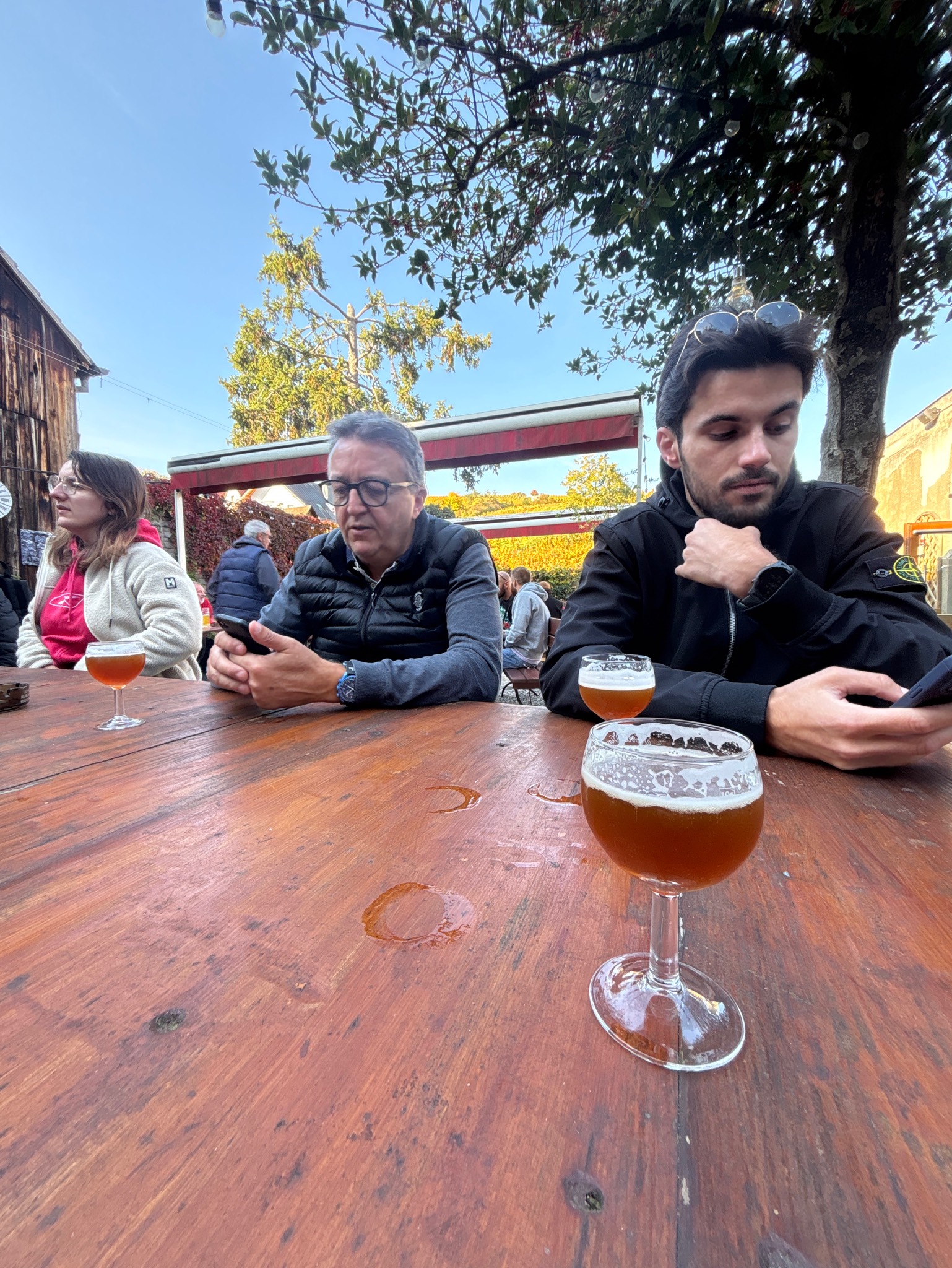 Hopf Bart Ambrée, France