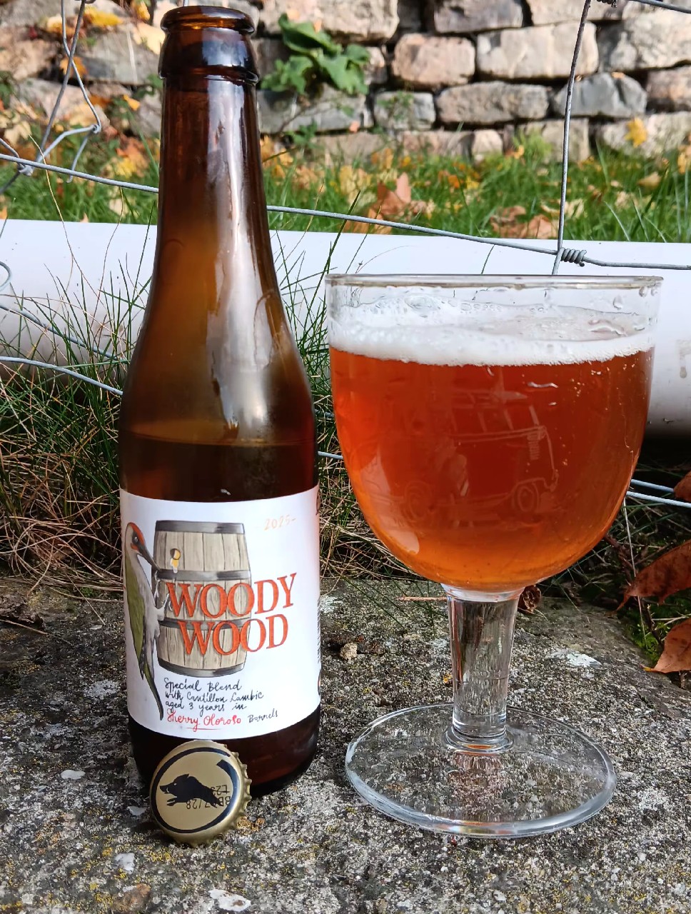 woody wood 2025, Belgium