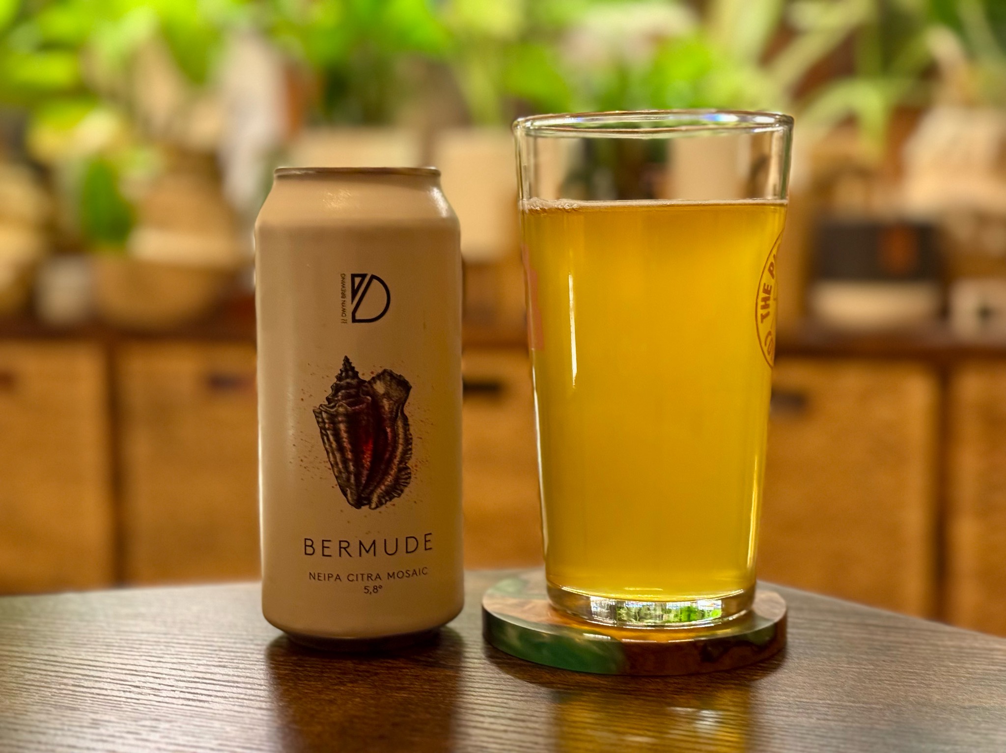 Bermude, DWYN Brewing