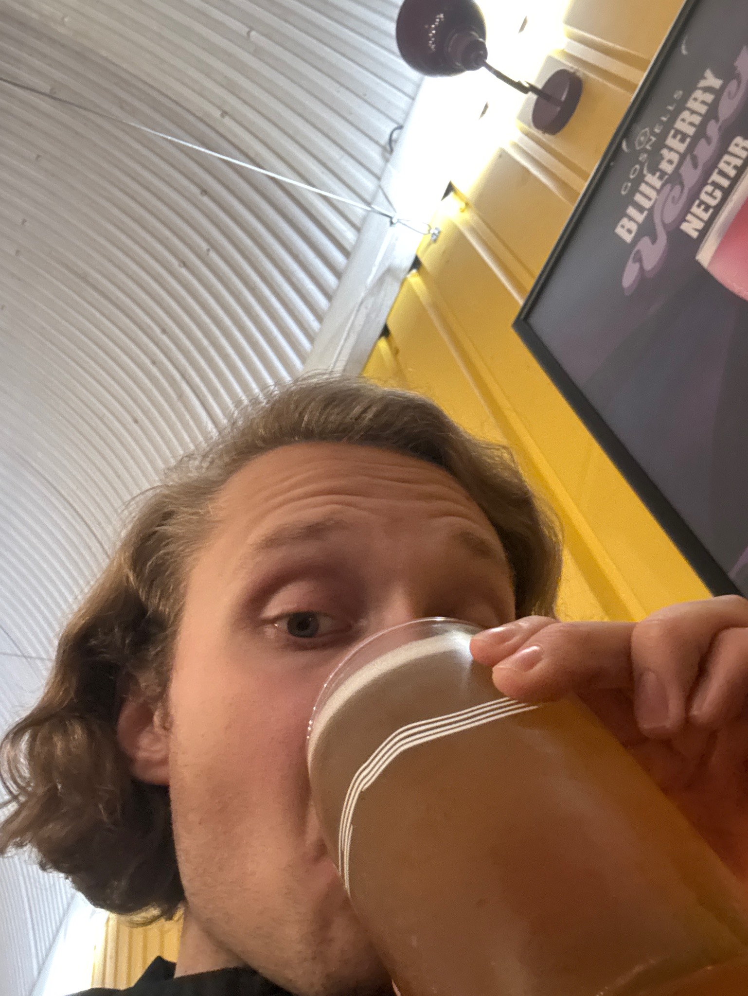Studio Lager, Signature Brew