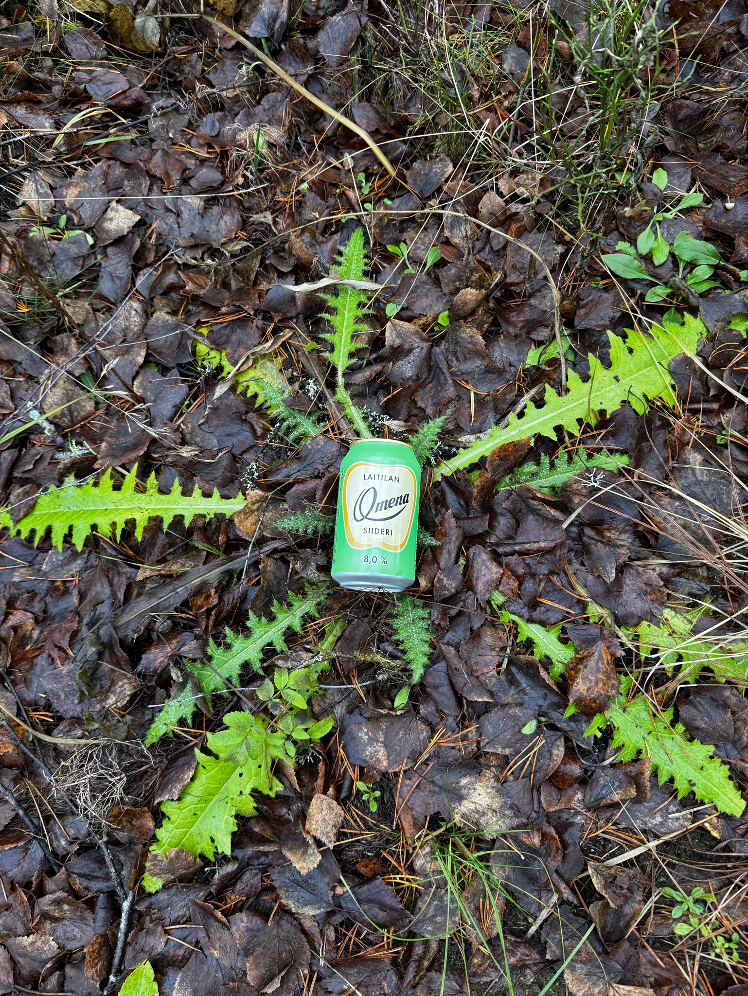 Laitilan Omenasiideri 8%, Finland