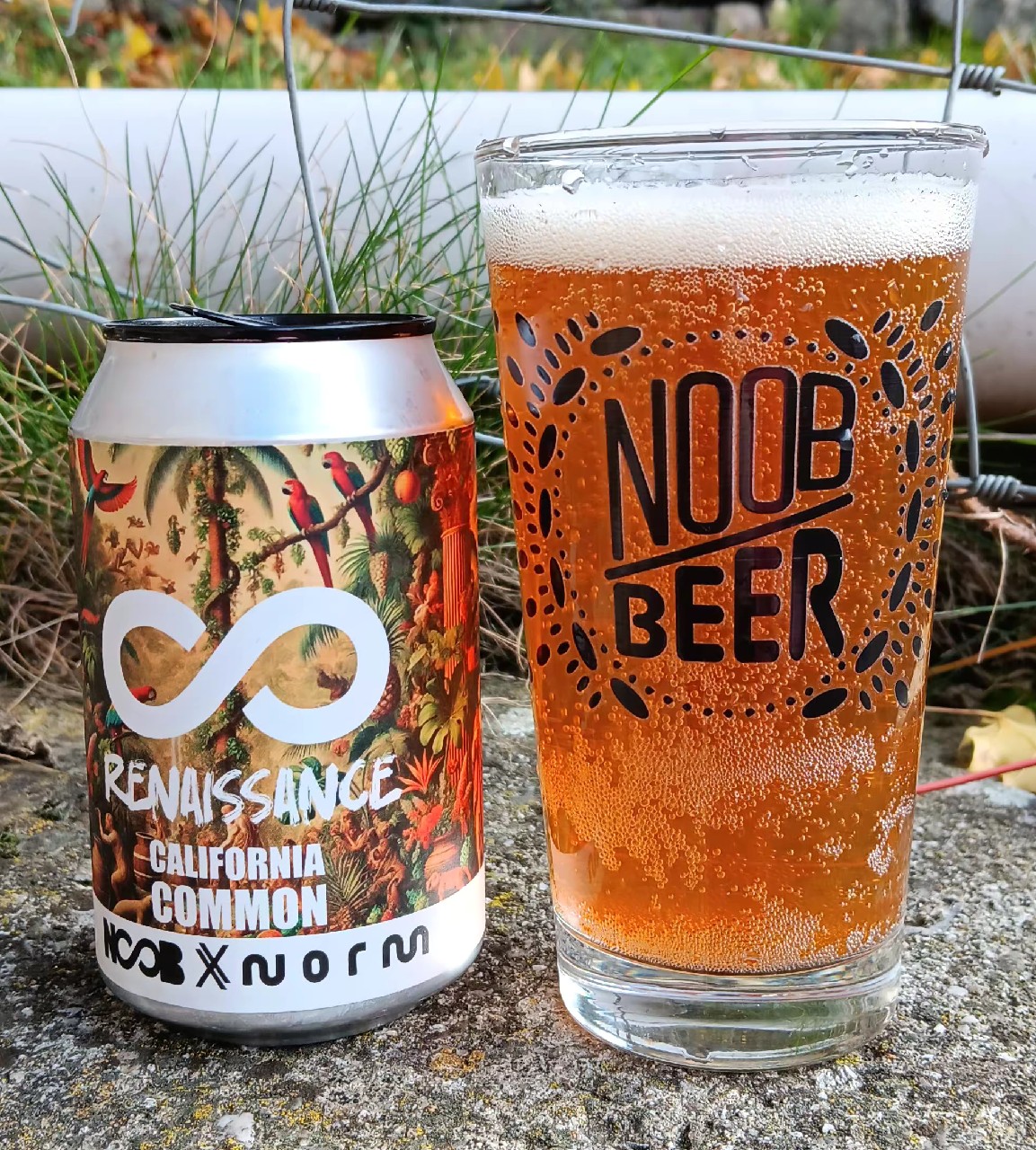 Renaissance, Noob Beer Co.