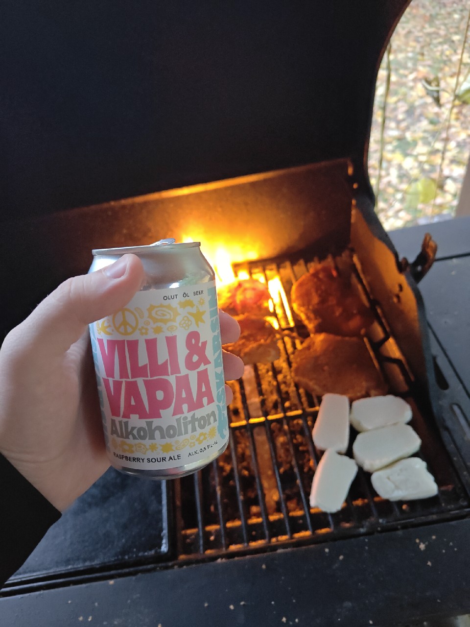 Villi & Vapaa Alkoholiton Raspberry Sour Ale, Finland