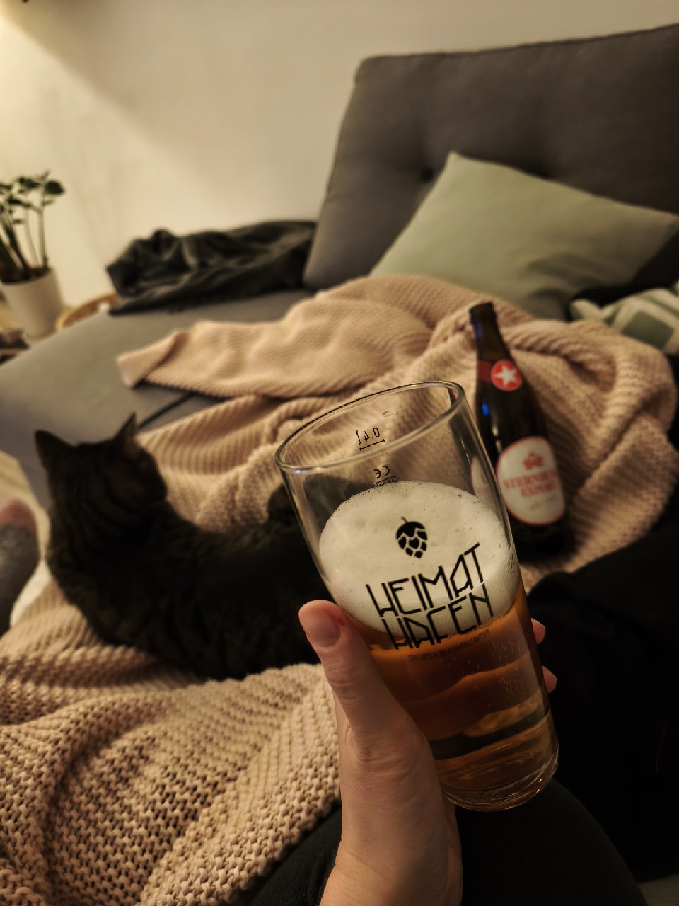 Sternburg Export, Leipziger Brauhaus Zu Reudnitz (Oetker Group)