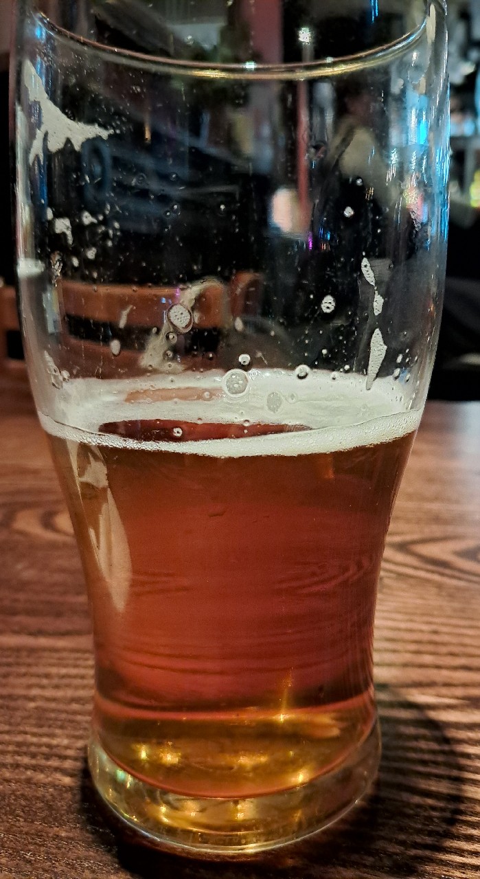 Belgica, Salcombe Brewery