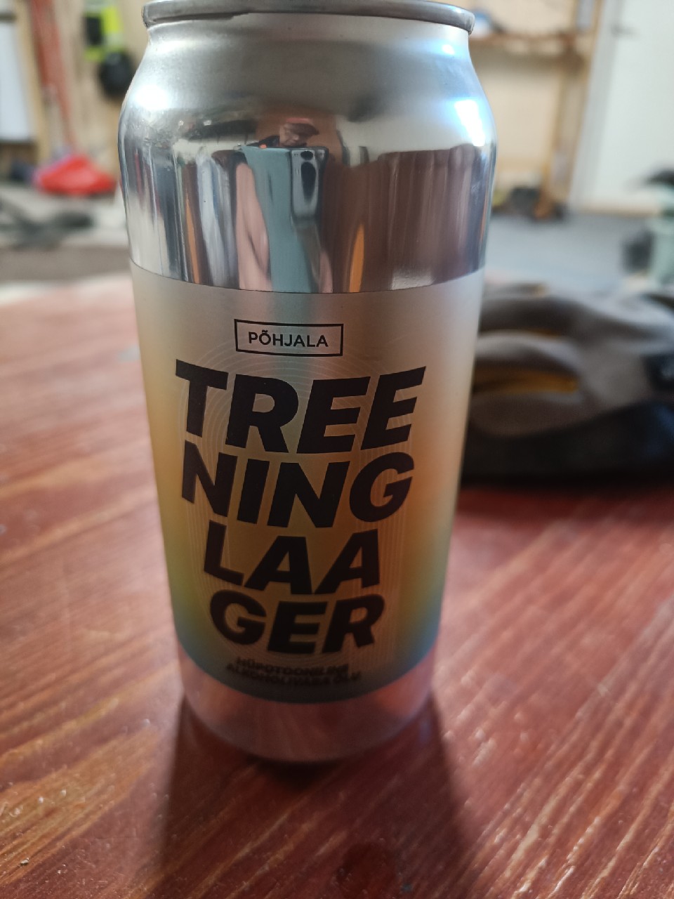 Treeninglaager, Estonia