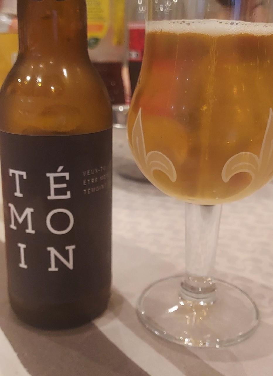 La Biere Du Demon, Brasserie Goudale (De Gayant)