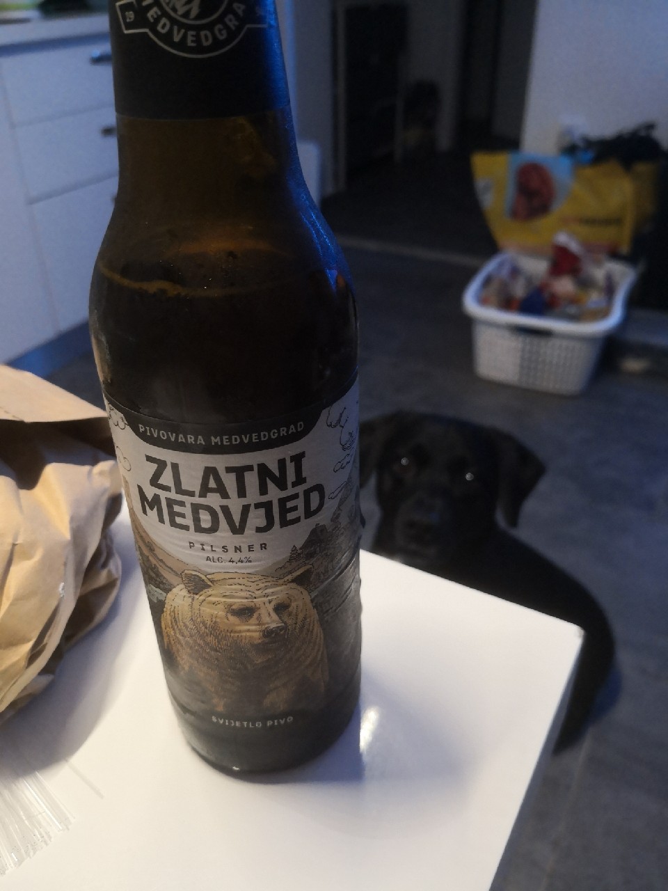 Zlatni Medvjed, Croatia