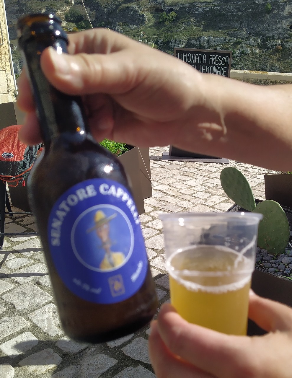 Senatore Cappelli, Italy