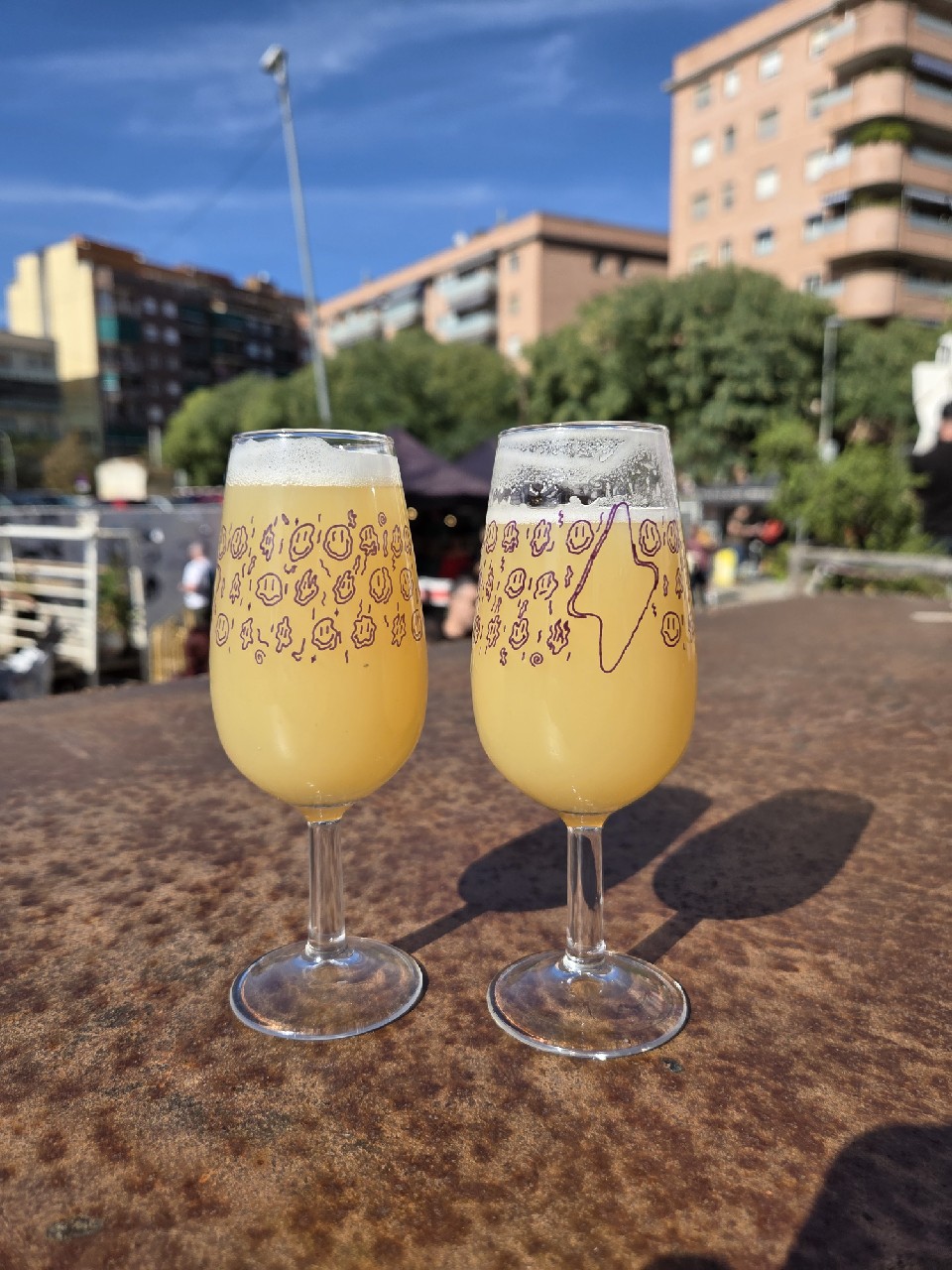 X-Raying Citra, North Park Beer Co.