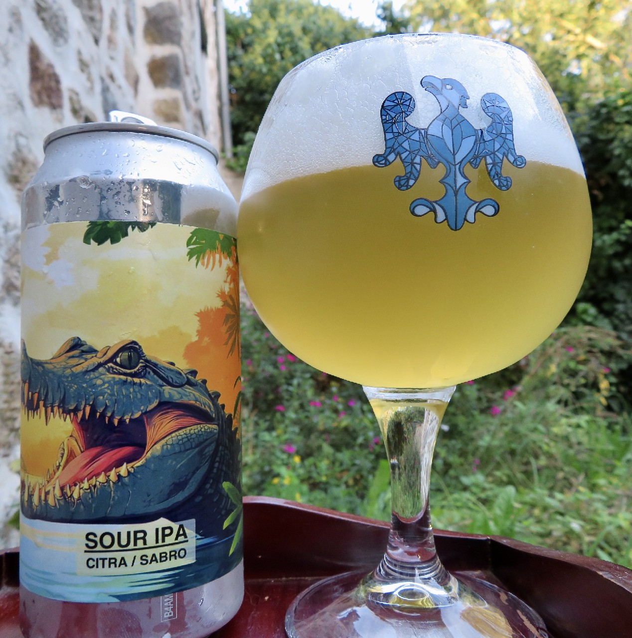 Sour IPA Citra/Sabro, France