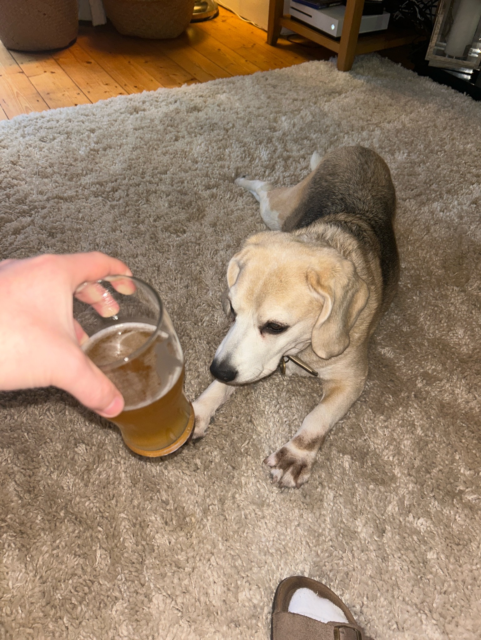 Erdinger Weißbier / Hefe-Weizen, Germany