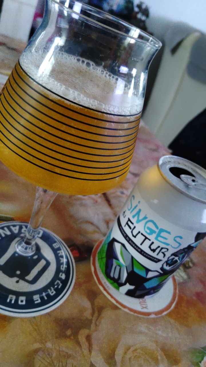 Singes Du Futur, France