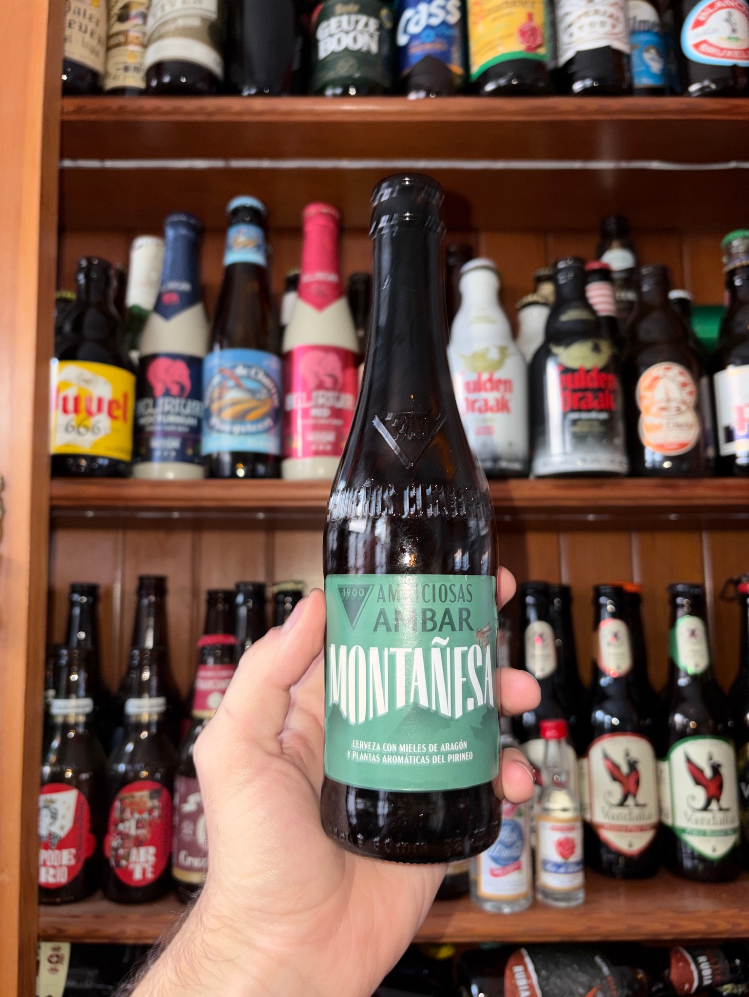 Ambiciosas Ambar Terrae, La Zaragozana