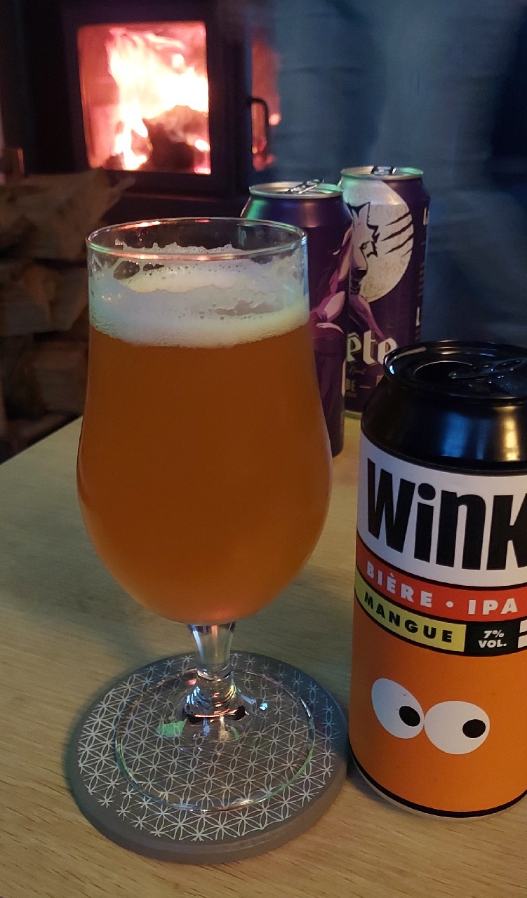 Wink IPA Mangue, France