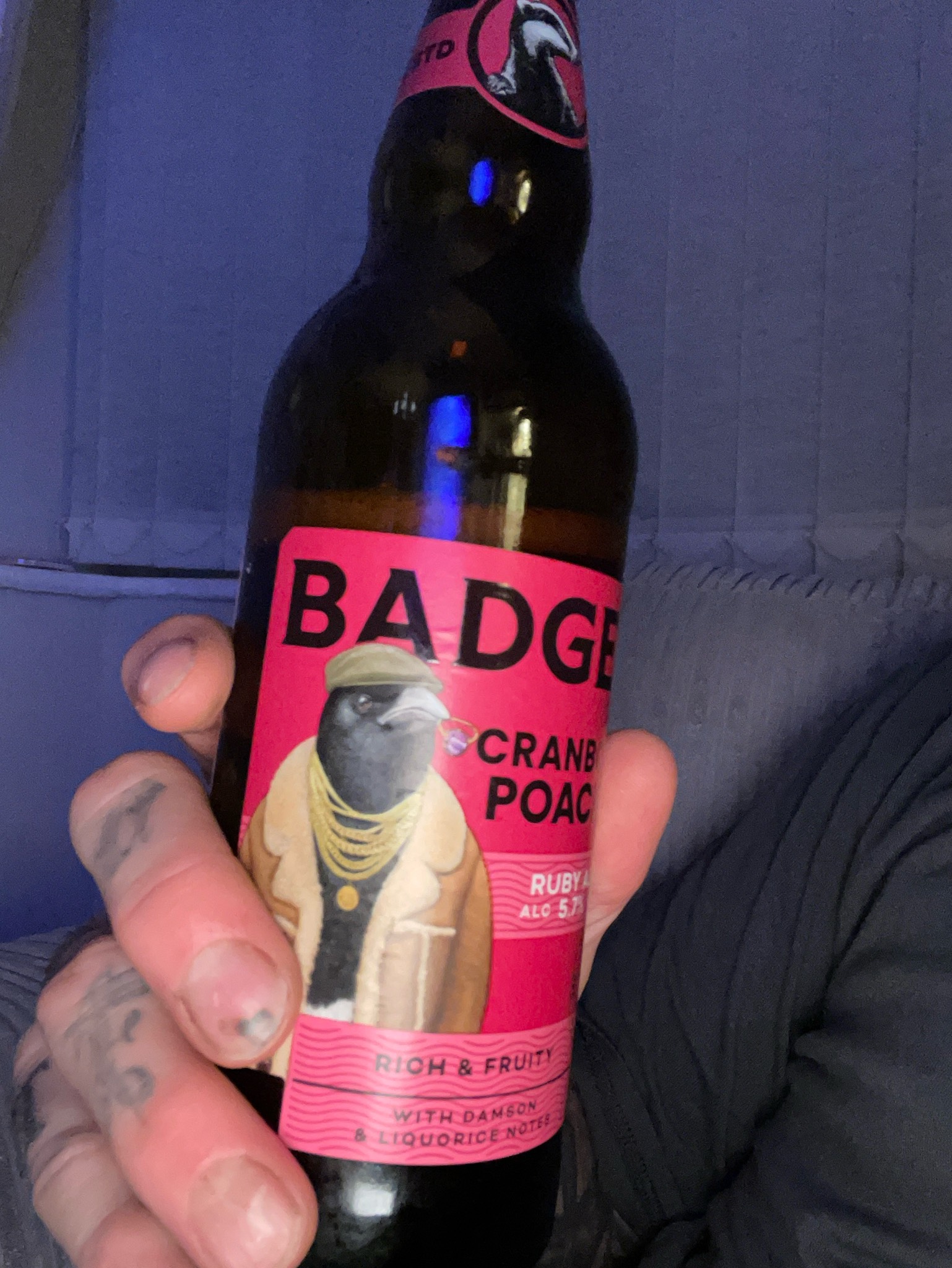 Cranborne Poacher, England