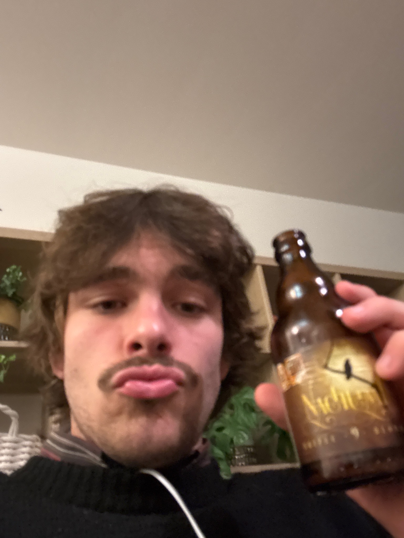 Nachtraaf Tripel, Nachtraafbrouwers