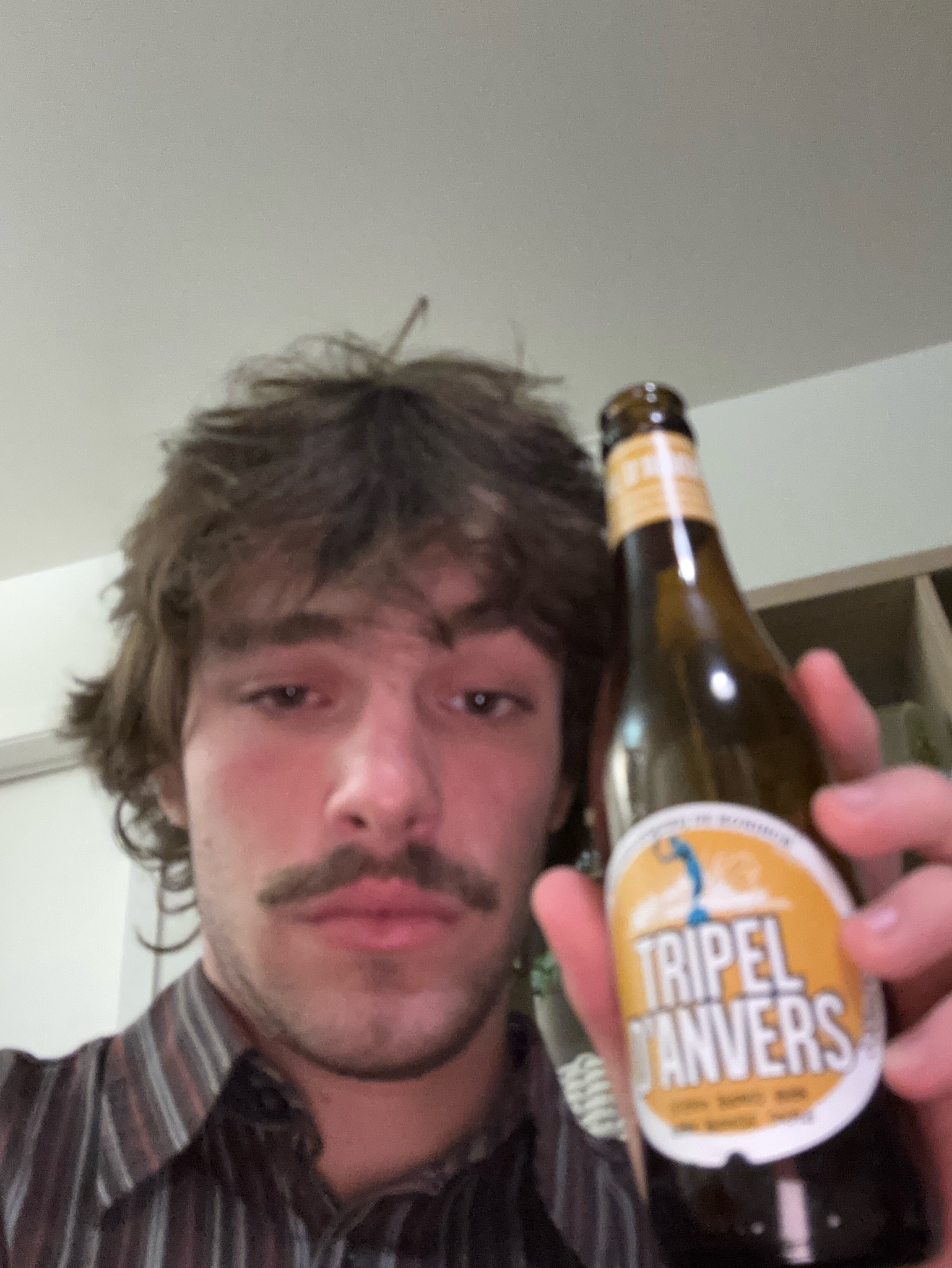 Tripel d'Anvers, Belgium