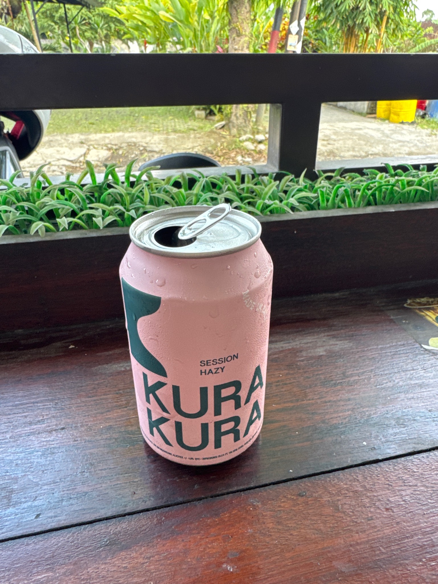 Session Hazy, Kura Kura