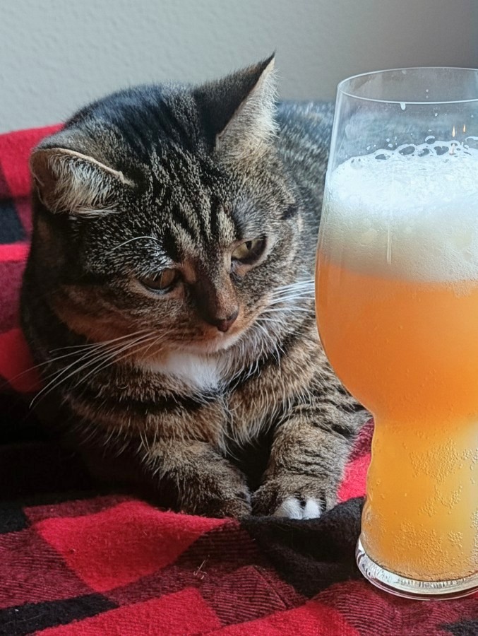 Sunset Boulevard Chanard Nelson, France