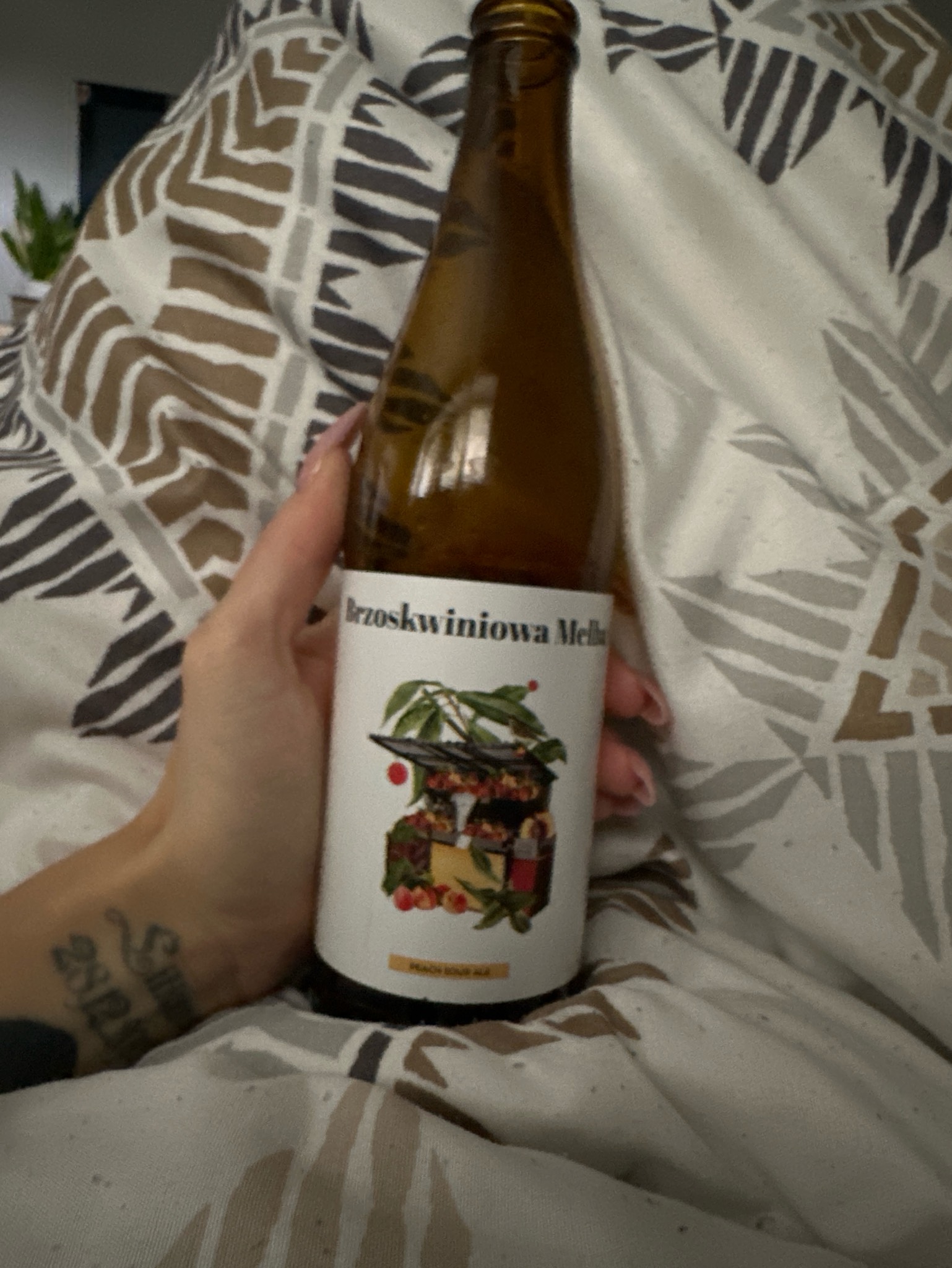 brzoskwiniowa melba, Browar Moczybroda