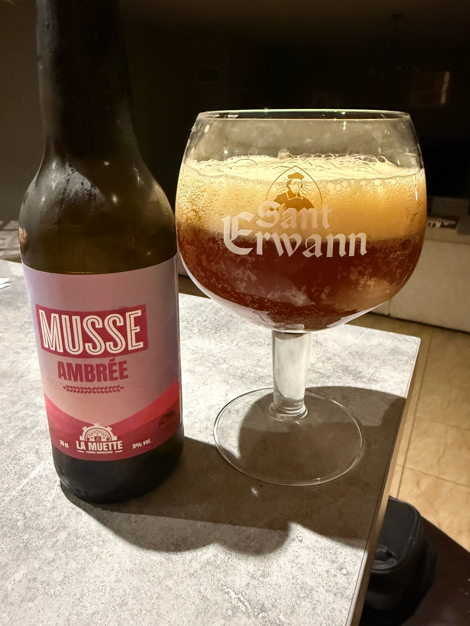 Musse Ambrée, France
