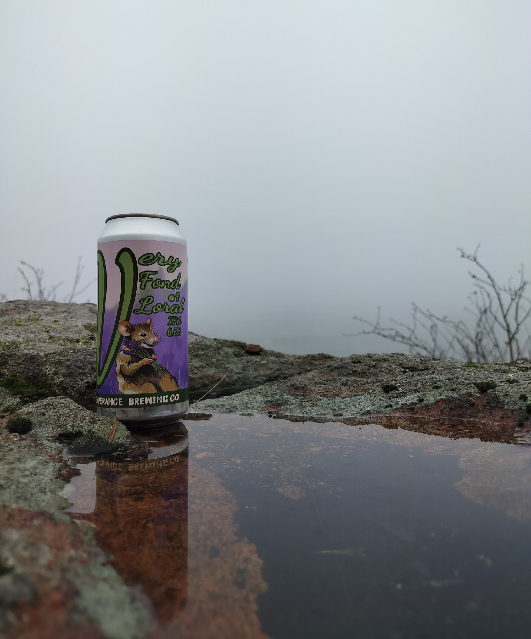 Very Fond Of Loral, Finland