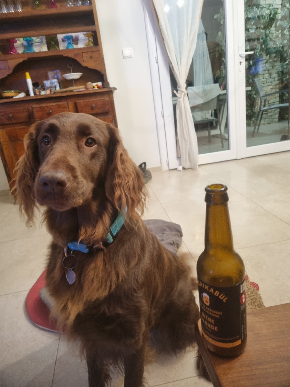 Fabrikabul, BAP - Brasserie Artisanale De Provence