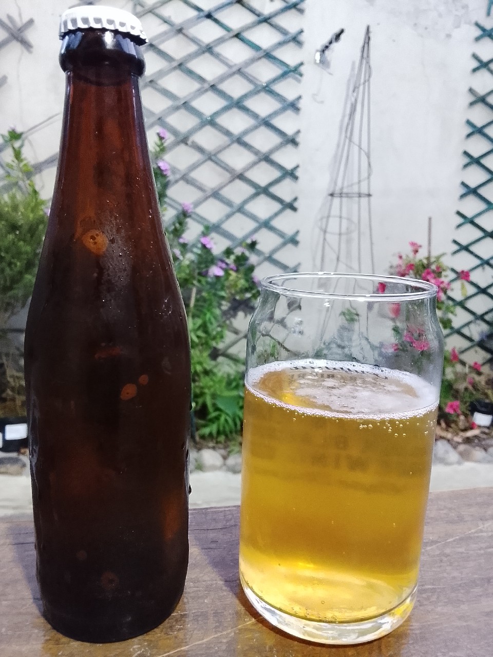 LOCAL Lager, South Africa