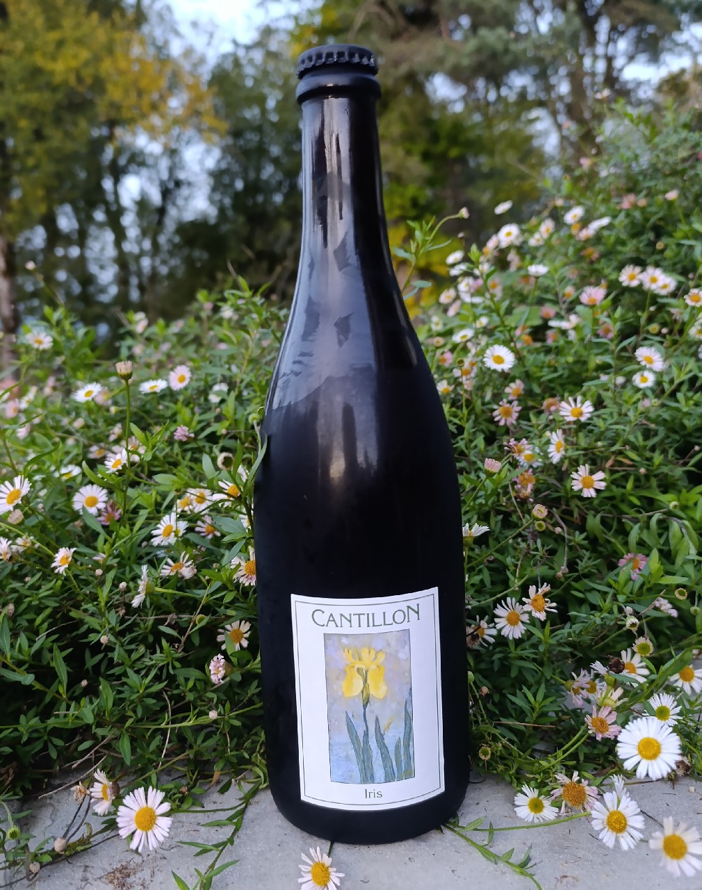 Iris, Brasserie Cantillon