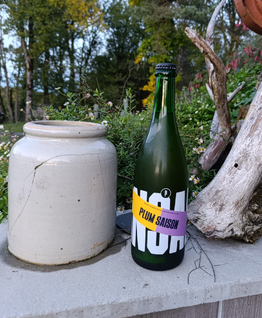 Plum Saison (Dansaert), Belgium