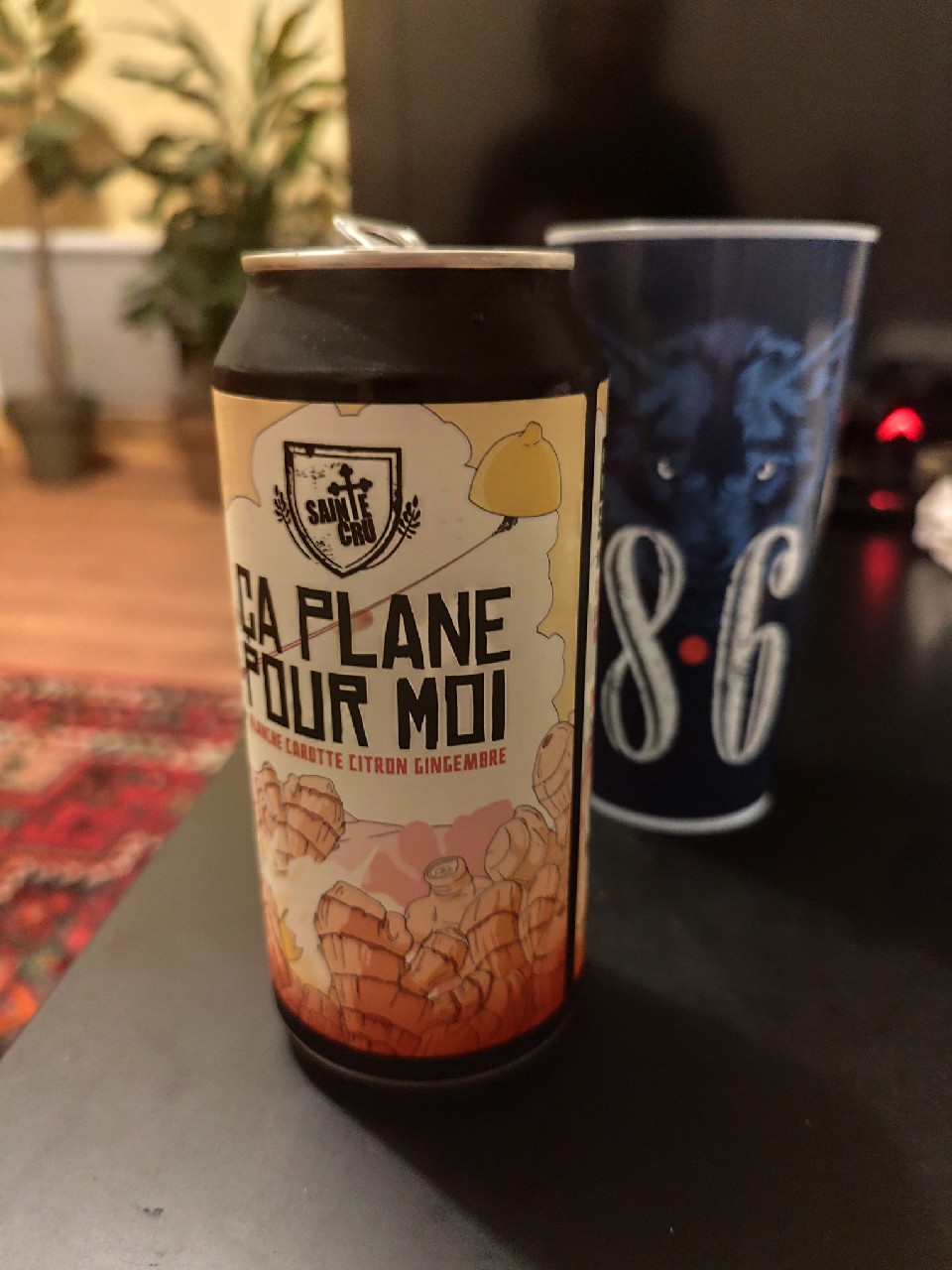 Ça Plane Pour Moi, France