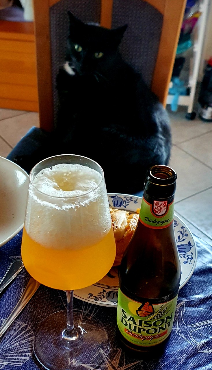 Saison Dupont Biologique, Belgium