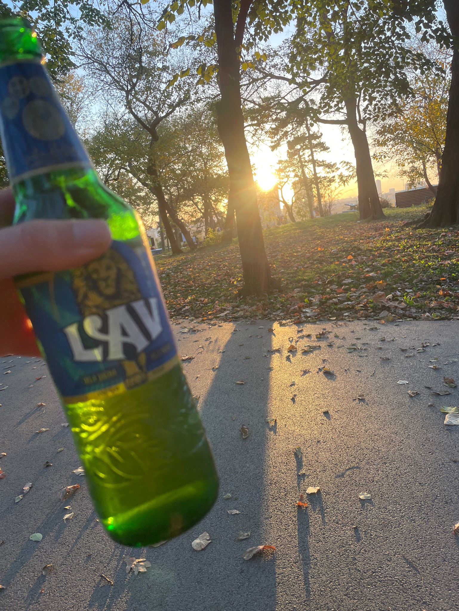 Lav, Carlsberg Srbija