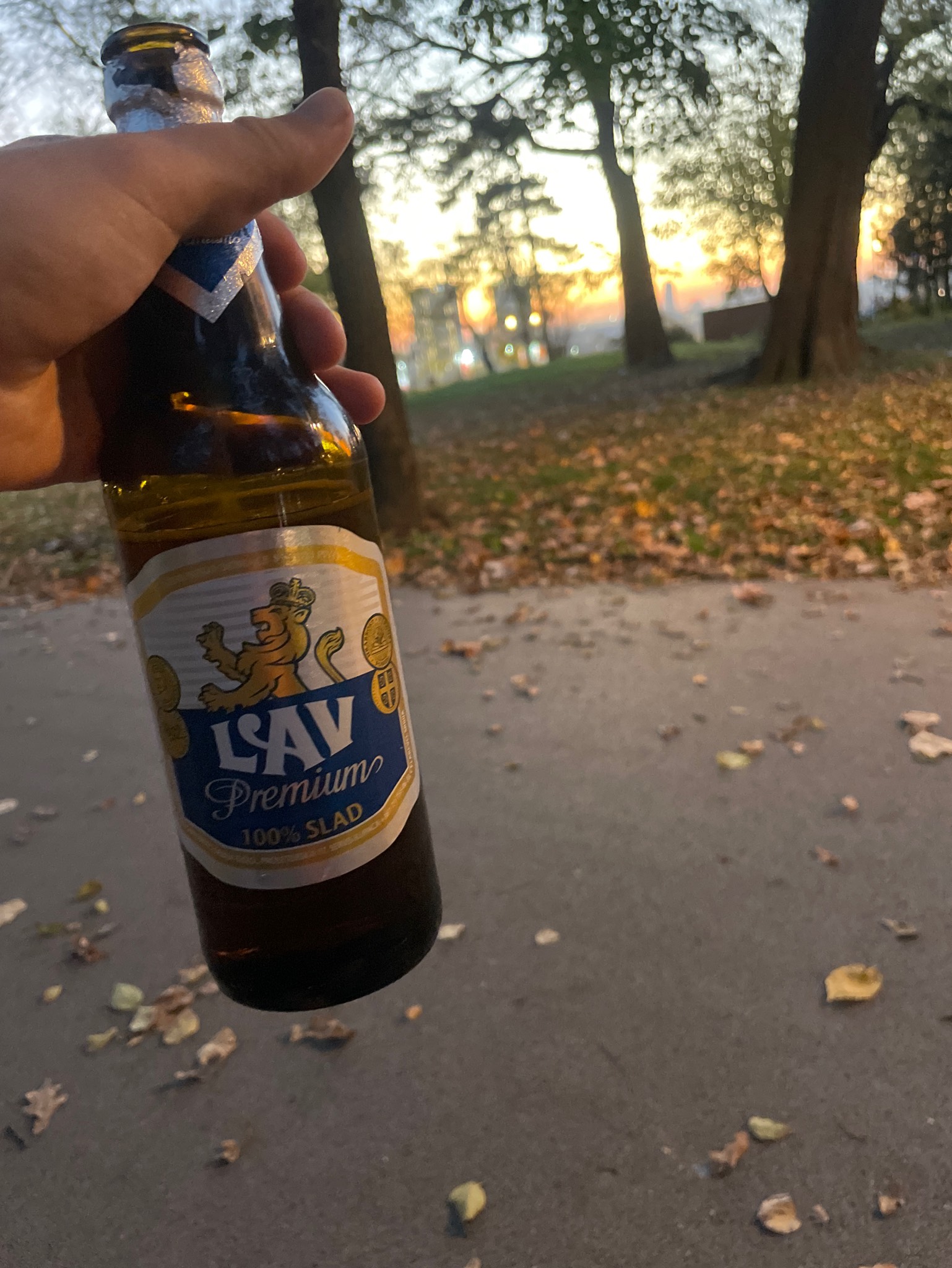 Lav, Carlsberg Serbia